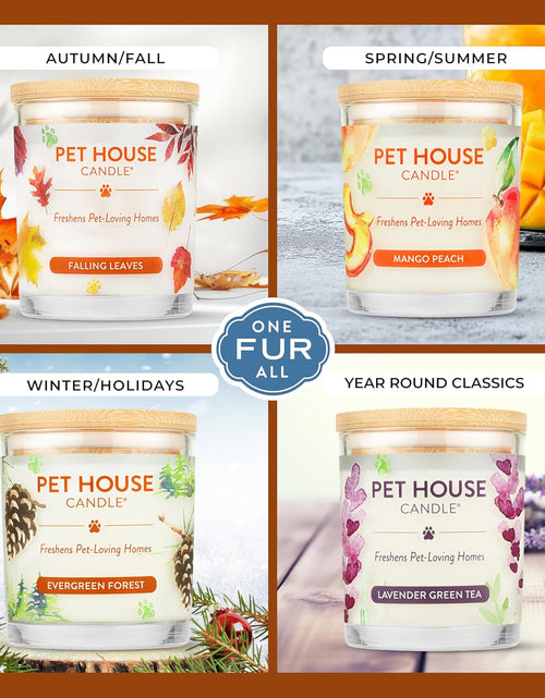 Load image into Gallery viewer, - 100% Natural Soy Wax Candle - Pet Odor Eliminator, up to 60 Hours Burn Time, Non-Toxic, Eco-Friendly Reusable Glass Jar Scented Candles – Pumpkin Spice - Pack of 2
