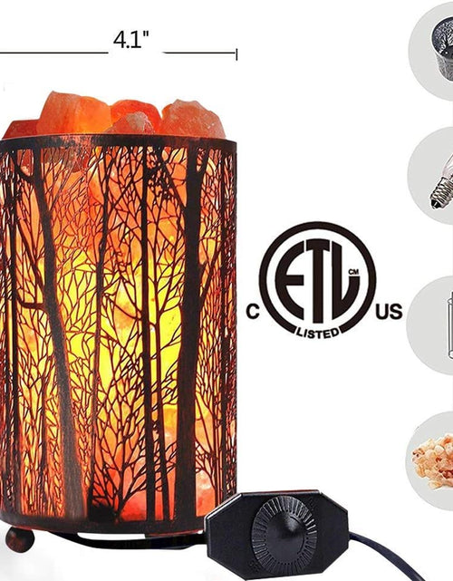 Load image into Gallery viewer, Salt Lamps, Natural Himalayan Salt Lamp, Forest Salt Lamp with Dimmer Switch, Salt Crystal Night Lights, Retro Metal Basket Decor Desk Lamp with Extra 25W Lamp Bulbs
