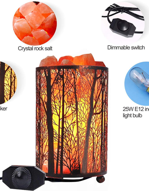 Load image into Gallery viewer, Salt Lamps, Natural Himalayan Salt Lamp, Forest Salt Lamp with Dimmer Switch, Salt Crystal Night Lights, Retro Metal Basket Decor Desk Lamp with Extra 25W Lamp Bulbs
