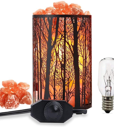 Salt Lamps, Natural Himalayan Salt Lamp, Forest Salt Lamp with Dimmer Switch, Salt Crystal Night Lights, Retro Metal Basket Decor Desk Lamp with Extra 25W Lamp Bulbs