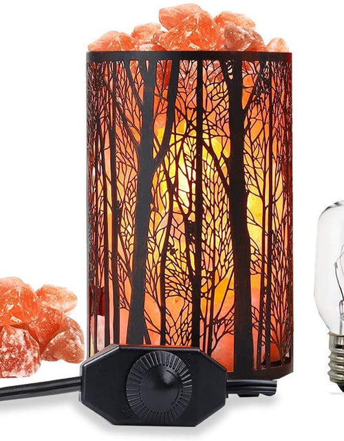 Load image into Gallery viewer, Salt Lamps, Natural Himalayan Salt Lamp, Forest Salt Lamp with Dimmer Switch, Salt Crystal Night Lights, Retro Metal Basket Decor Desk Lamp with Extra 25W Lamp Bulbs
