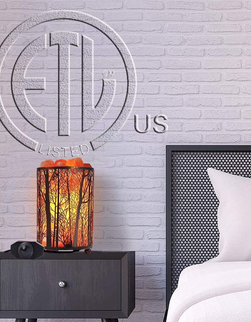 Load image into Gallery viewer, Salt Lamps, Natural Himalayan Salt Lamp, Forest Salt Lamp with Dimmer Switch, Salt Crystal Night Lights, Retro Metal Basket Decor Desk Lamp with Extra 25W Lamp Bulbs

